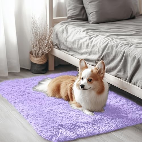 OLANLY 2x3 Machine Washable Small Bedside Rug, Soft Fluffy Shaggy Entryway Throw Rugs for Bedroom, Living Room, Indoor Floor Carpet for Kids Girl Boy, Nursery Room, Home Decor Aesthetic, Light Purple by OLANLY