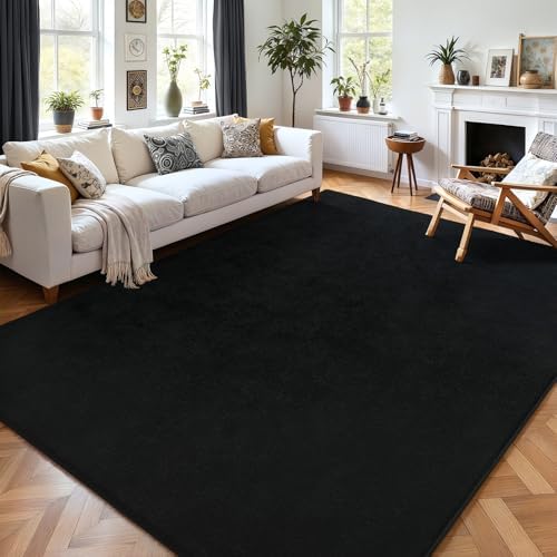AROGAN 5x7 Area Rugs for Living Room Non Slip Dorm Bedroom Rug, Black by AROGANAREARUG