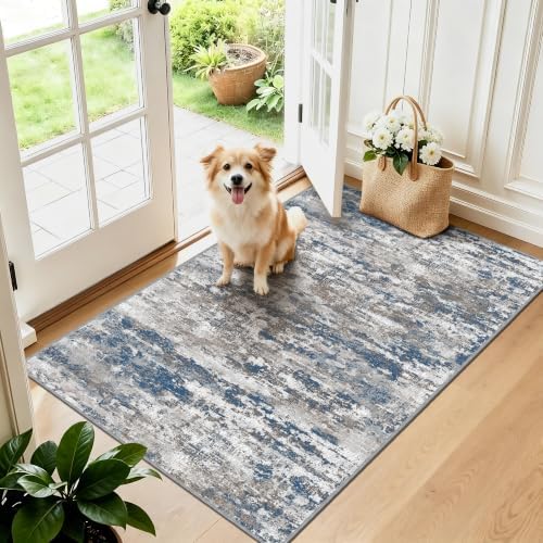 Small Area Rug 3x4ft, Textured Non Slip Entryway Rug, Multi by TTelephant