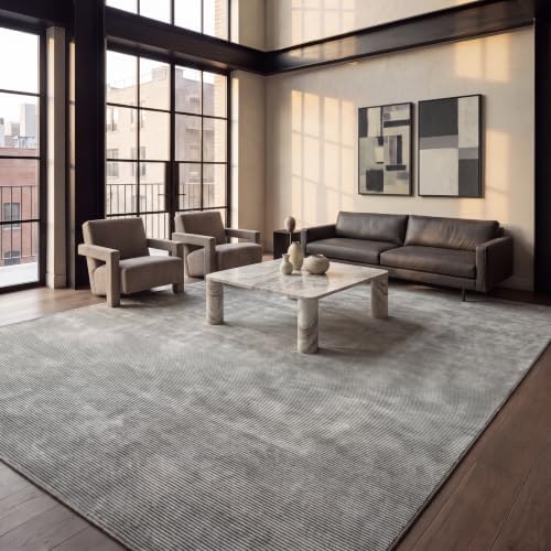 SAFAVIEH Area Rug 10'6"x14 - Revive Collection - X-Large - Modern Design, Grey, Non-Shedding & Easy Cleaning, Ideal for Living Room, Bedroom, Dining Space (REV102F) by Unknown