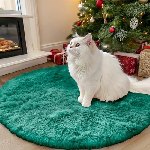 OLANLY Teal Green Round Rugs for Bedroom - Machine Washable, 3 ft Circle Area Rugs for Living Room, Soft and Fluffy Shaggy Carpet for Teen Girl and Boys, Nursery Rooms, Dorms, Home Decor Aesthetic by OLANLY