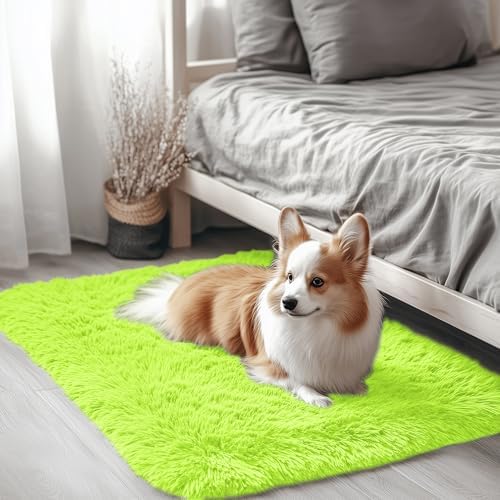 OLANLY 2x3 Machine Washable Small Bedside Rug, Soft Fluffy Shaggy Entryway Throw Rugs for Bedroom, Living Room, Indoor Floor Carpet for Kids Girls and Boys, Home Decor Aesthetic, Lime Green by OLANLY