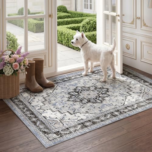 Area Rugs Small 2x3 Washable Non-Slip Boho Indoor Carpets, Blue Grey