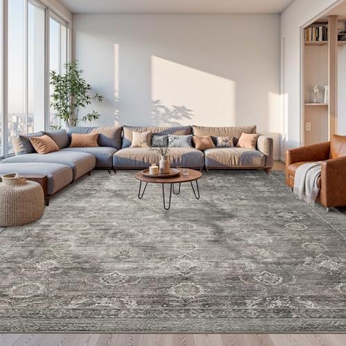 Rugxara 9x12 Area Rugs for Living Room Large Washable Rug, Taupe/Grey