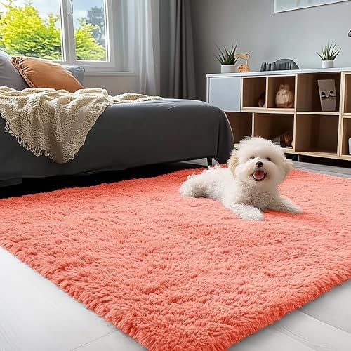 OLANLY 3x5 Machine Washable Small Bedside Rug, Soft Fluffy Shaggy Rugs for Living Room, Bedroom, Indoor Floor Carpet for Kids Girls and Boys, Preppy Dorms, Nursery, Home Decor Aesthetic, Coral Red by OLANLY