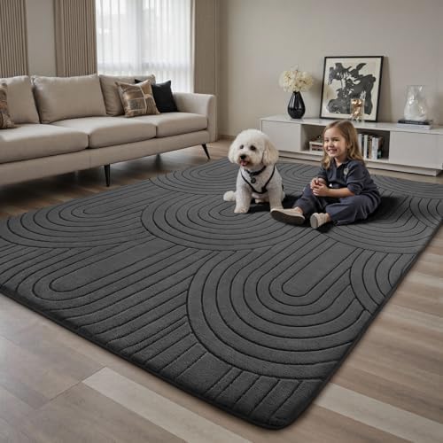 Sour Lemon 8x10 Area Rugs for Living Room Bedroom, Large Carpet Grey Rug - Image 6
