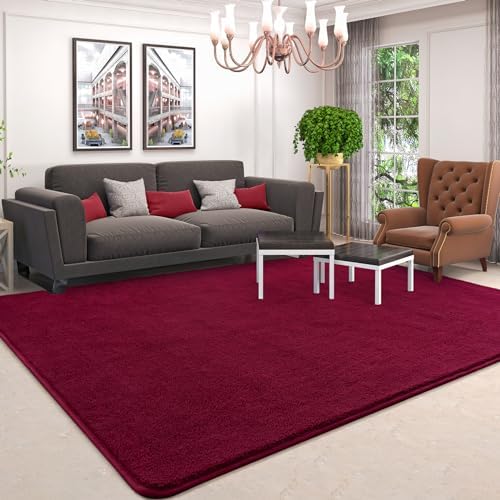 AROGAN 5x7 Area Rugs for Living Room Non Slip Dorm Bedroom Rug, Wine Red - Image 2