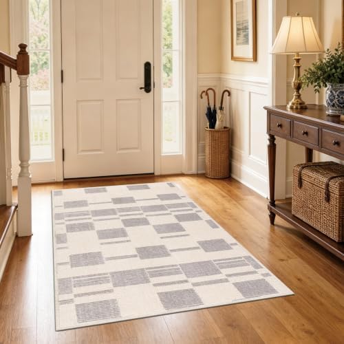 Pale Grey Matrix 3x5 ft Light Gray Area Rug for Bedroom Living Room by Unknown