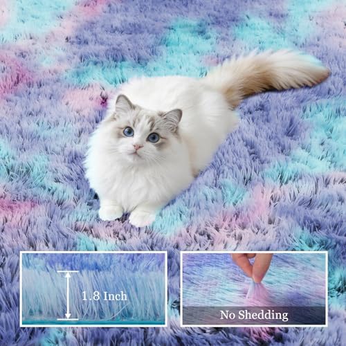 Area Rug Living Room Bedroom: 5x7 Fluffy Plush Shag Carpet Rainbow - Image 5