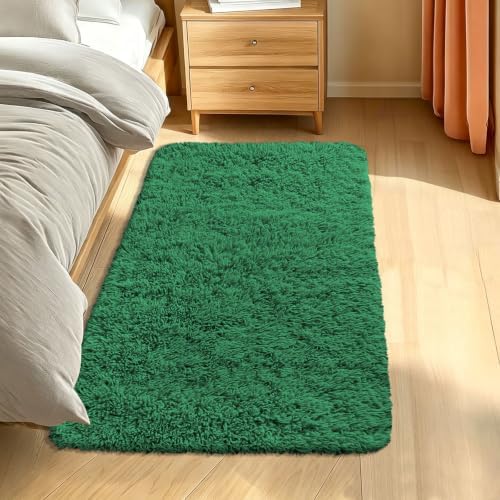 Smiry Area Rugs for Living Room Bedroom 2x4 ft, Fluffy Washable Carpet by Smiry