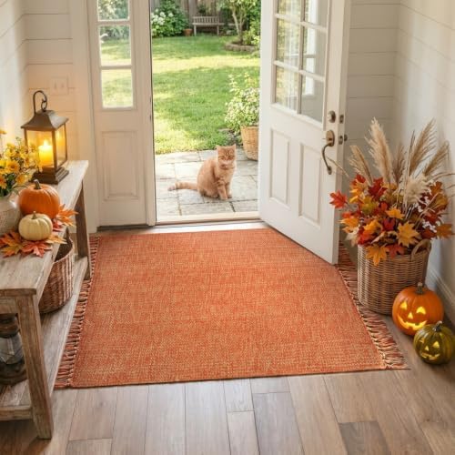 Collive 3' x 5' Fall Terracotta Indoor Outdoor Rug Farmhouse Entryway Rugs - Image 3