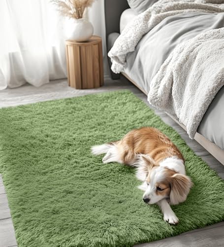 OLANLY 3x5 Machine Washable Small Bedside Rug, Soft Fluffy Shaggy Rugs for Living Room, Bedroom, Indoor Floor Carpet for Kids Girls and Boys, Preppy Dorms, Nursery, Home Decor Aesthetic, Green - Image 6