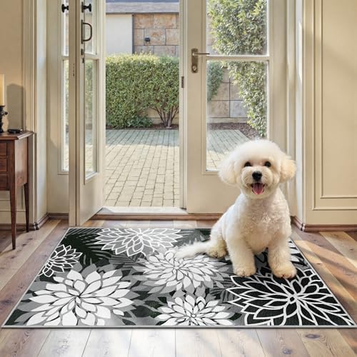 Arenarug Outdoor Rug Waterproof, Washable Patio Rug for Deck, 2x3, Black by ArenaRug