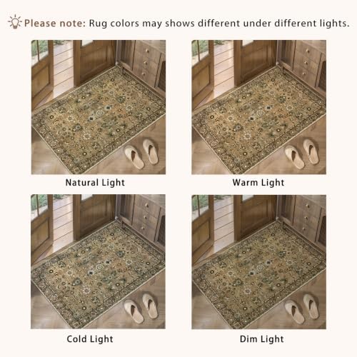 Tangsoo Brown 4x6 Washable Area Rugs for Living Room, Indoor Non Slip Rug - Image 2
