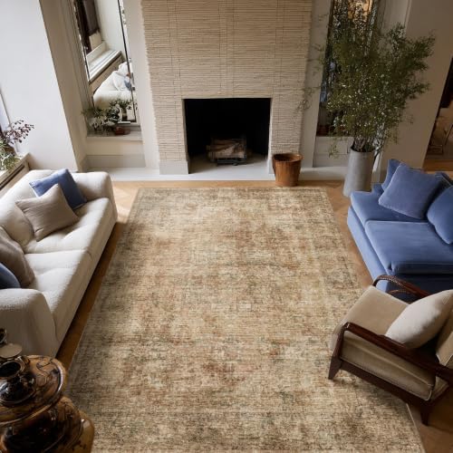 Machine Washable Rugs for Living Room: 5x7 Area Rugs for Bedroom by NoiFamo