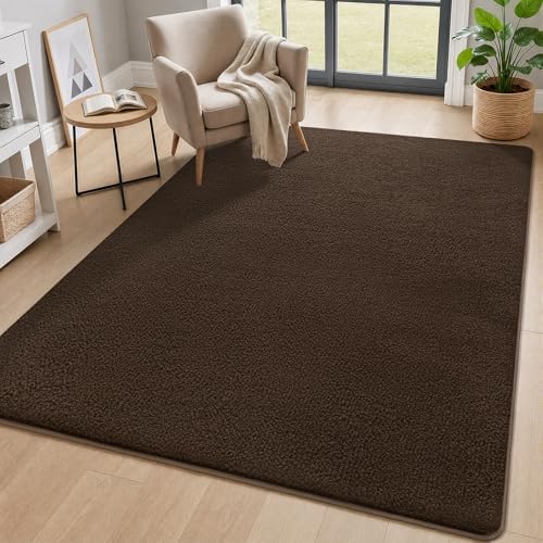 AROGAN 4x6 Area Rugs for Living Room Non Slip Dorm Bedroom Rug, Coffee by AROGANAREARUG