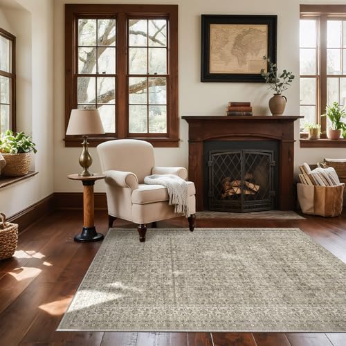 4x6 Washable Area Rugs for Entryway: Door Mat Indoor Entrance Throw Rug Non Slip Low Pile Kitchen Rug for Front Door Indoor Entrance Entry Kids Room by palohom