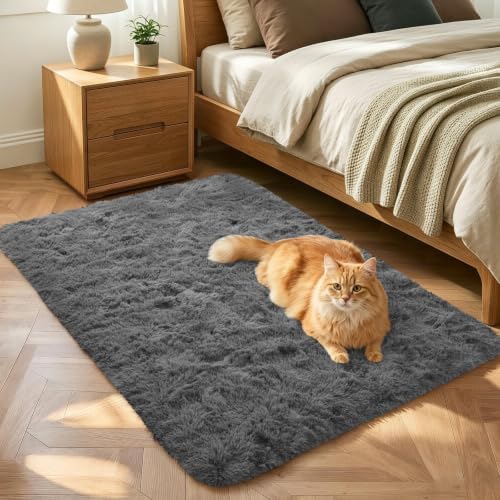 3x5 Dark Grey Fluffy Soft Area Rug Non-Slip for Bedroom Entryway by ModernHomeDecor