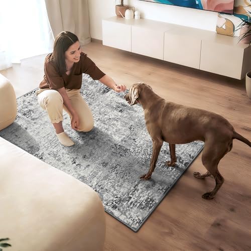 Entryway Rug 3x6 Grey Bedroom Area Rug Washable Non Slip Abstract Boho Rugs for Indoor Entry, Kitchen, Classroom, Bathroom, Kids Girls Room, Office, College Dorm Small Carpet - Image 4