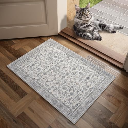Washable Small Area Rugs for Entryway: 2x3 Door Mat Indoor Entrance - Image 2