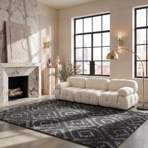 SAFAVIEH Adirondack Area Rug 6'x9', Boho Dark Grey & Grey ADR131F by Unknown