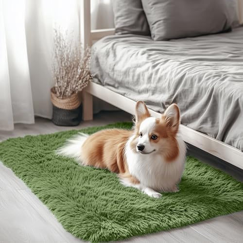 OLANLY 2x3 Machine Washable Small Bedside Rug, Soft Fluffy Shaggy Entryway Throw Rugs for Bedroom, Living Room, Indoor Floor Carpet for Kids Girls and Boys, Home Decor Aesthetic, Green by OLANLY