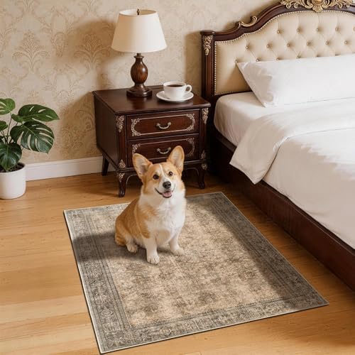 LIANLAM 2x3 Washable Area Rug, Vintage Boho Traditional Pattern, Non-Slip Stain Resistant Rug for Living Room Bedroom(2x3,Brown/Boho) - Image 3