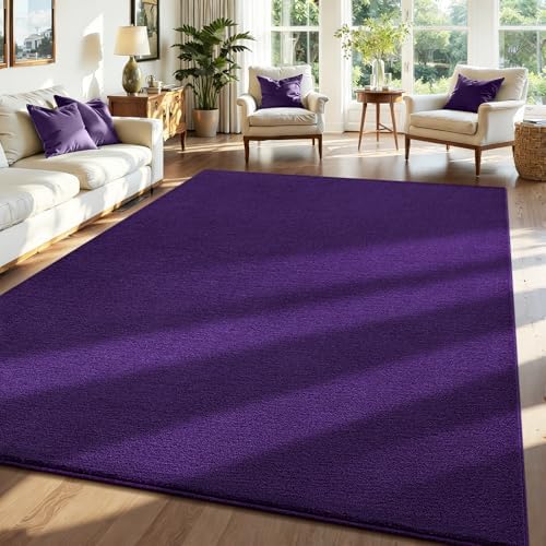 ISEAU 5x7 Soft Area Rug for Living Room, Washable and Non-Slip, Purple by ISEAU