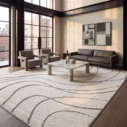 SAFAVIEH Florida Shag Rug 9'6"x13', Soft Plush Cream & Grey SG471-1180 by Unknown