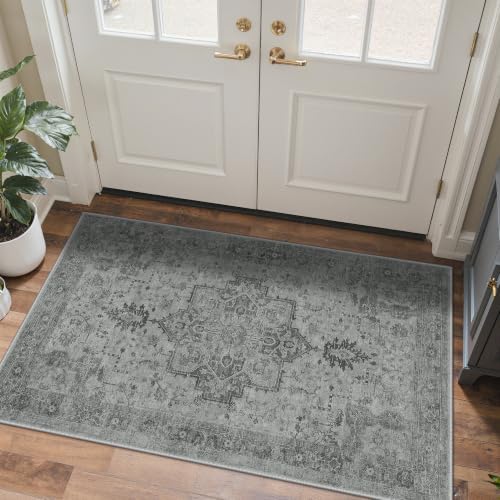 GENIMO Indoor Outdoor Rug, Washable for Patio and Deck, Silver Grey, 3x5 by GENIMO