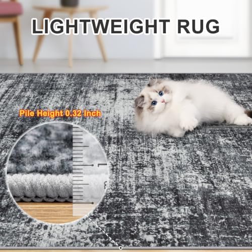 PLHXFR 9x12 Area Rug Living Room: Abstract Washable Carpet Dark Black - Image 6