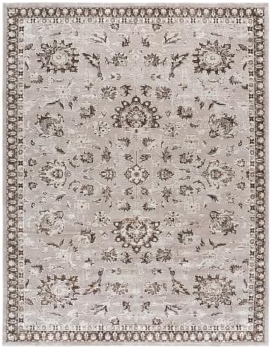 SAFAVIEH Parker Area Rug 8x10, Textured Large Ivory & Coffee PRK158B by Unknown