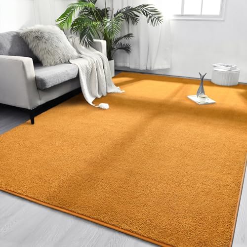 FlyDOIT Area Rugs for Bedroom Living Room, 5x8 Orange Super Soft Comfy Thickened Memory-Foam Indoor Carpets, Modern Aesthetic Minimalist Carpet for Boys Girls Adults Apartment Nursery Home Décor by FlyDOIT