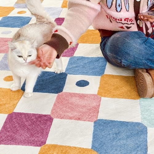 jinchan 6x9 Classroom Rug Washable Kids Rug Colorful Playroom Mat Berries - Image 6