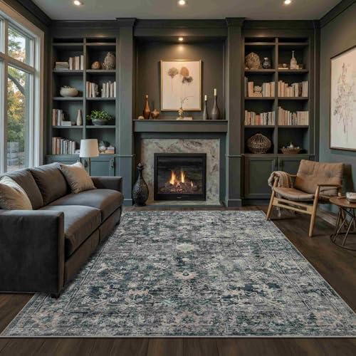 Rugxara Area Rugs 5x7 Washable Rug for Living Room Bedroom, Blue Rug by Rugxara
