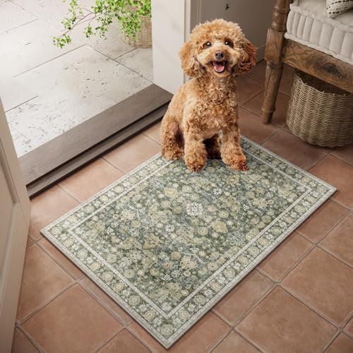 Washable Small Area Rugs for Entryway: 2x3 Door Mat Indoor Entrance by NoiFamo