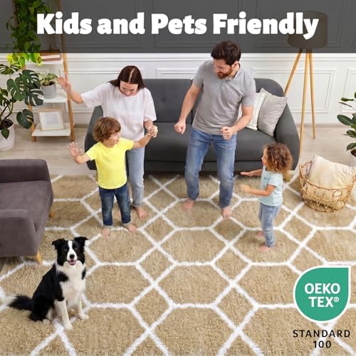 Area Rugs for Bedroom Living Room, 4x6 Fluffy Beige and White Geometric Rug - Image 3