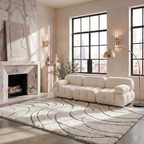 SAFAVIEH Florida Shag Collection Area Rug - 6' x 8', Cream & Grey, Non-Shedding & Easy Cleaning, Plush Thick Pile, Ideal for Living Room, Bedroom, Dining Space (SG471-1180) by Unknown