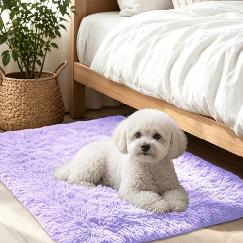 Smiry Area Rugs for Living Room Bedroom 2x3 ft, Fluffy Washable Carpet by Smiry