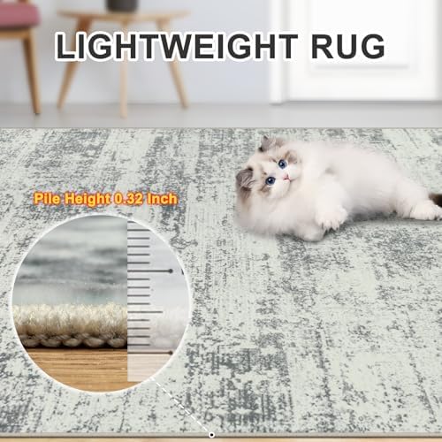 PLHXFR 10x14 Area Rug Living Room: Modern Abstract Washable Carpet Grey - Image 6
