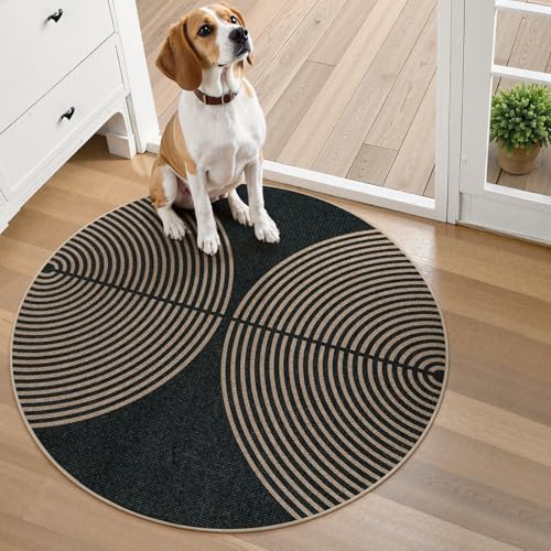 Lahome Rainbow Small Round Rug, 3ft Circular Indoor Outdoor Entryway Rug - Image 5