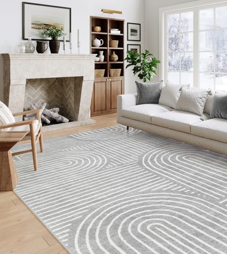 Lahome Abstract Gray Area Rug 6x9, Soft Grey Washable Rugs for Living Room by Lahome