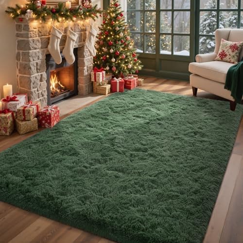 Green Area Rugs for Bedroom Fluffy 4x6 Shag Rug,Plush Living Room Grass Carpet for Kids Teens Indoor Classroom Home Decor Aesthetic by Lo%CC%80utiRootHome