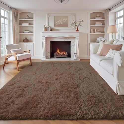 6x9 Area Rug for Living Room: Fluffy Shag Soft Washable Rugs Large Fuzzy Plush Indoor Carpet for Bedroom Nursery Playroom Kids Girls Boys Room (Coffee, 6'x9') by VECARF