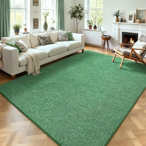 AROGAN 4x6 Area Rugs for Living Room Non Slip Dorm Bedroom Rug, Matte Green by AROGANAREARUG