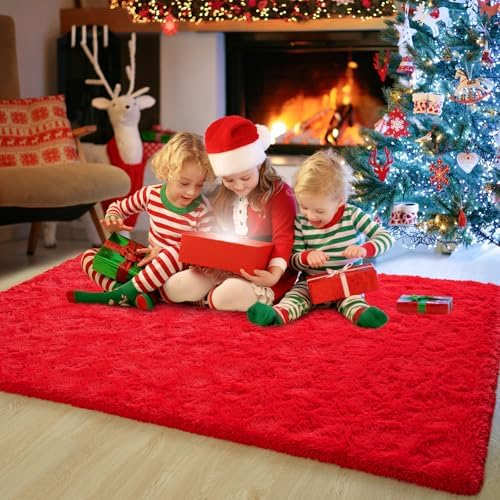 Chicrug Soft Area Rugs for Bedroom Living Room Plush Fluffy Rug 4x6 - Image 5
