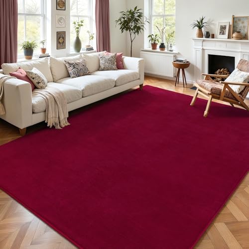 AROGAN 5x7 Area Rugs for Living Room Non Slip Dorm Bedroom Rug, Wine Red by AROGANAREARUG
