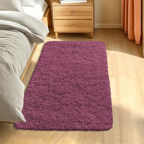 Smiry Area Rugs for Living Room Bedroom 2x4 ft, Fluffy Washable Carpet by Smiry