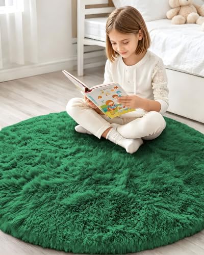 Smiry Round Area Rugs for Living Room Bedroom 5x5 ft, Fluffy Carpet - Image 6