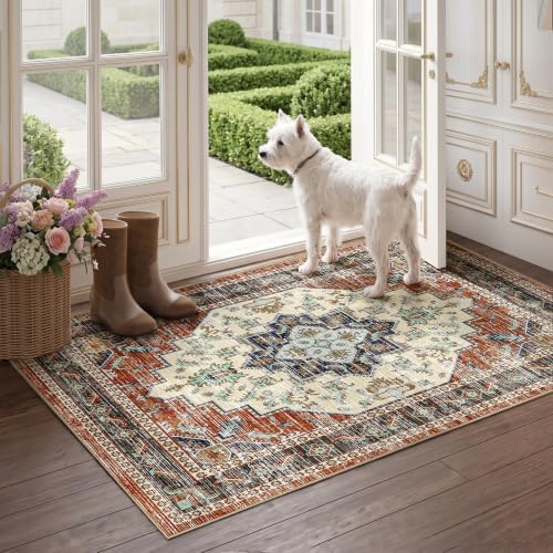 Area Rugs Small 2x3 Washable Non-Slip Boho Indoor Carpets, Taupe Red - Image 2